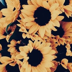 Meet your Posher, Kara